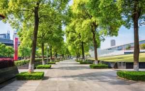 ruang terbuka hijau di kota