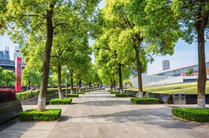 ruang terbuka hijau di kota